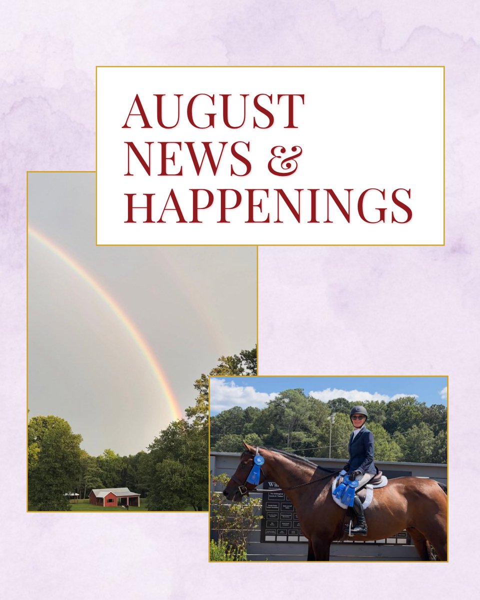Hrhayesinc's tweet photo. August has brought a wonderful mix of connection and celebration. I had the opportunity to meet with some incredible people, and there have been plenty of reasons to celebrate closer to home. 📰  Read on in our latest newsletter: https://t.co/p0vm6NWpgg https://t.co/ObMc7W68j1