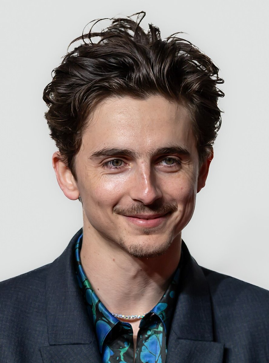 DiscussingFlow's tweet photo. Timothée Chalamet has been cast as Timothée Chalamet in a biopic ‘TIMOTHÉE’ for A24.

(Source: @Deadline) https://t.co/nAXbIOSgQF