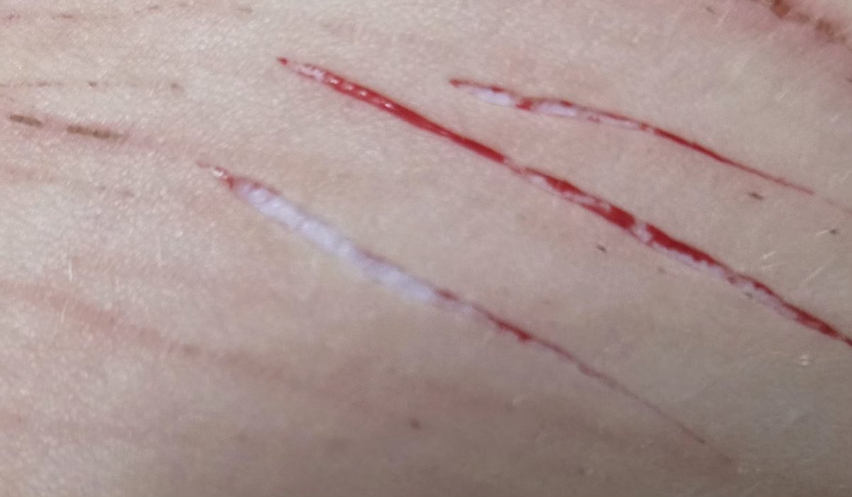 Shiversinternat's tweet photo. Yk it'll hurt like a bitch when it's WHITE (ALL FAKE, AI UPSCALED MAKEUP + CGI) #sh #shtwt https://t.co/97gmSEsS9B