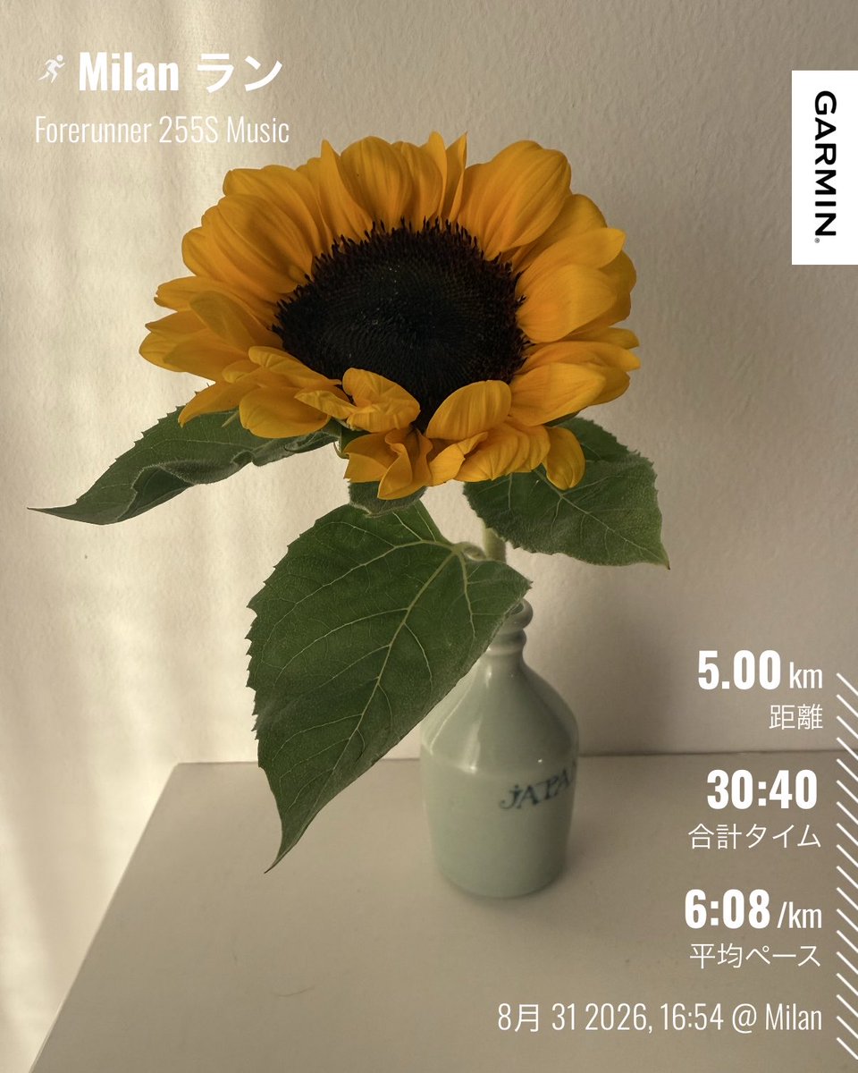 y48t445's tweet photo. ジラソーレ
ソーレ、ソレ、ソレ
ひまわりだー🌻✨🎶

8/31タラン
いつものランニングコースの出店のお花屋さんにお花を買いに💐

『この花瓶しかないんだけど』とポッケに花瓶を入れて🏺
 
girasole ＝girare回る+sole太陽
太陽に向かって回る＝ひまわり🌻

日本語と一緒で覚えやすいですね😉 https://t.co/qX63TvJj7l