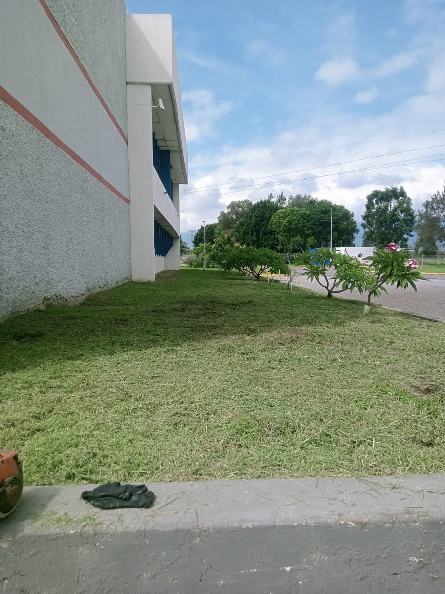 andromerds's tweet photo. A trabajar otro año más 🧑‍🎓📚🗃️📝 #CdGuzmán https://t.co/3IcwfhDfls