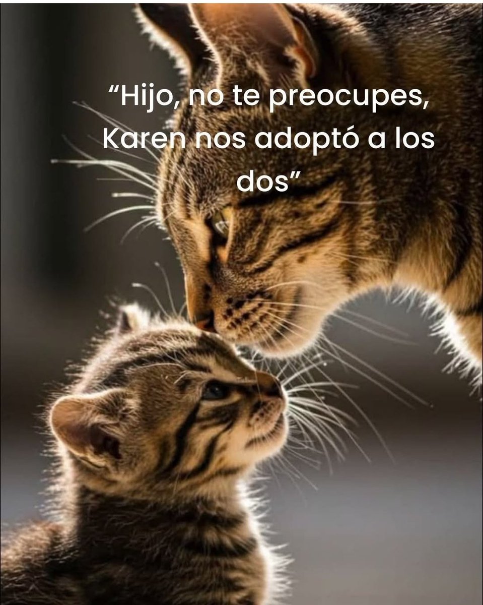ManuSaenzVolvio's tweet photo. Es lo ideal!
🧡 https://t.co/DkTjXIA1gS