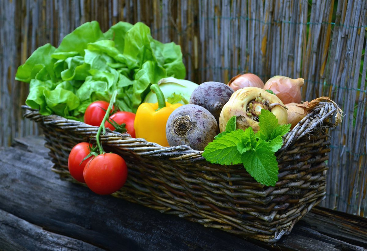 SloaneKirkua's tweet photo. Nuevos ingredientes frescos de temporada para tu cocina: espinacas crujientes, championes jugosos y tomates maduros  Haz tu compra hoy y sorprende con platos deliciosos! https://t.co/Unez0j9FMK