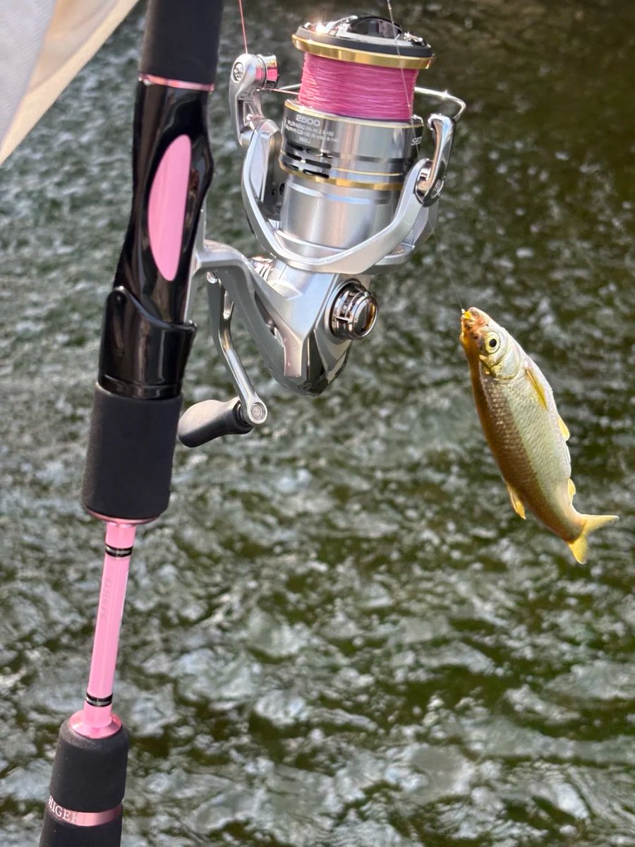 Qenaltvn's tweet photo. The joy of fishing is never just about how big the fish is https://t.co/X7oVmA15fo