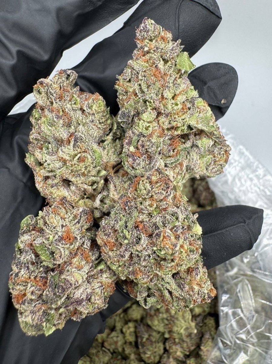 Stonersplug2's tweet photo. SAME DAY EXOTIC CANDY WEED DELIVERY REAL ZAZA Cali kush buds flower THC Vape Hash  Mexico City, Guadalajara, Monterrey, Cancún, Mérida, Puebla, Tijuana, Querétaro
São Paulo, Rio de Janeiro, Brasília, Salvador, Fortaleza, Recife, Curitiba, Manaus
Panama City, Colón, David Santiago https://t.co/rOpRHU6jiW