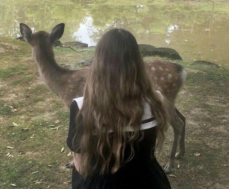 deerdoeriver's tweet photo. girls &amp; deers 🤎 https://t.co/deIrEfsjw8