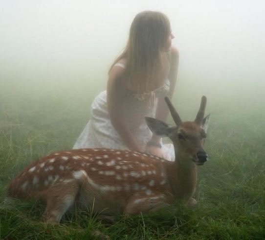 deerdoeriver's tweet photo. girls &amp; deers 🤎 https://t.co/deIrEfsjw8