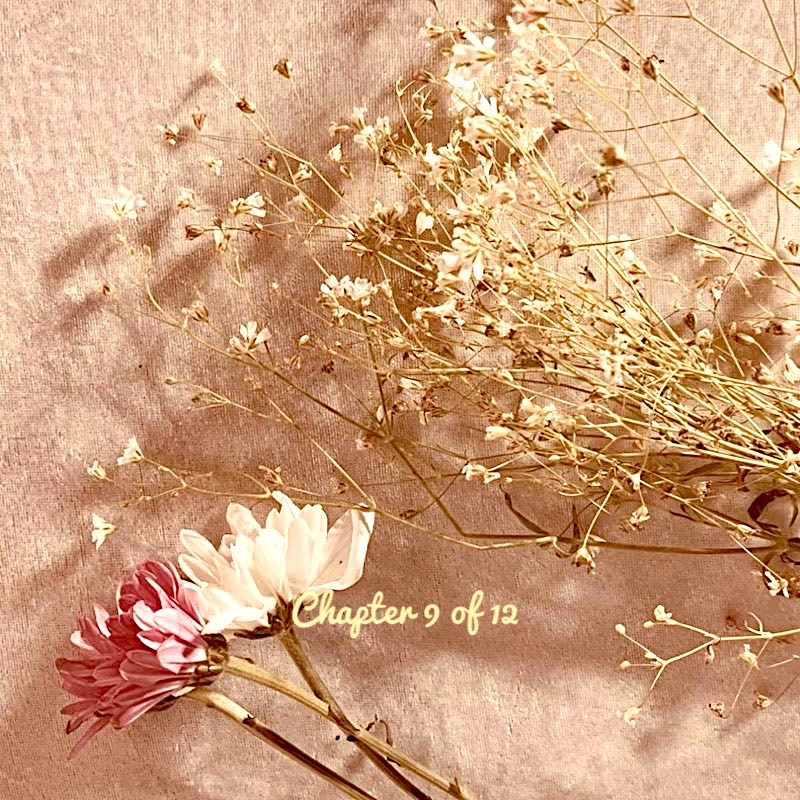 bellarosa000's tweet photo. Hello September !
A fresh page.
New intentions.
Cooler air.
Warmer hearts.
Here's to slowing down, showing up, and making space for joy.
Chapter 9 of 12
#HeaderUpdate https://t.co/U3uxTQ4Ckh