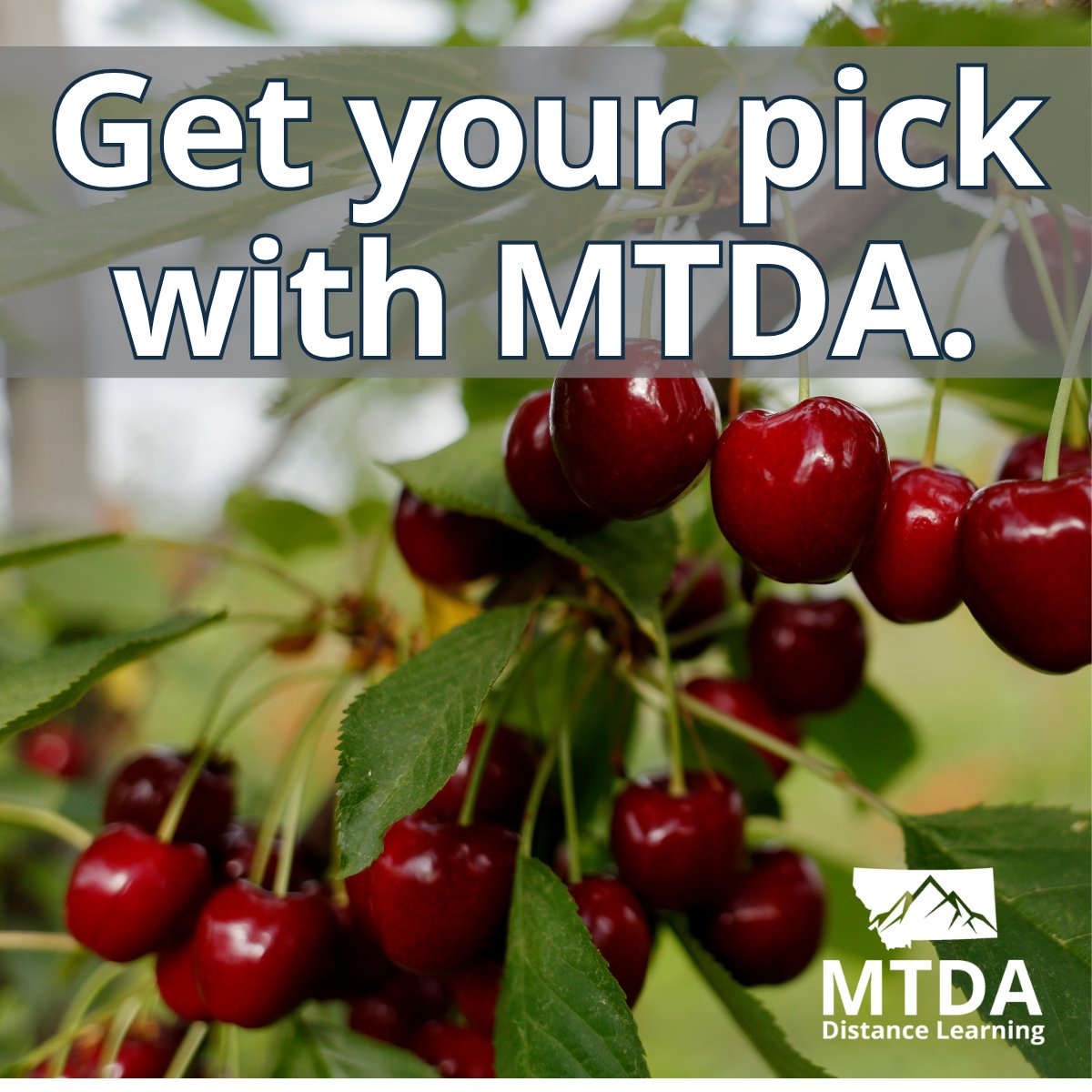 MontDigAcad's tweet photo. MTDA’s Guaranteed Course Deadline for Fall 2026 is this Thursday, September 3rd. See your local public school to register for up to 7 courses with Montana Digital Academy. 

See our full list of available courses at this link:  https://t.co/jAaKFwv4bv 

 #mtda #distancelearning https://t.co/WKiHJbDhJj