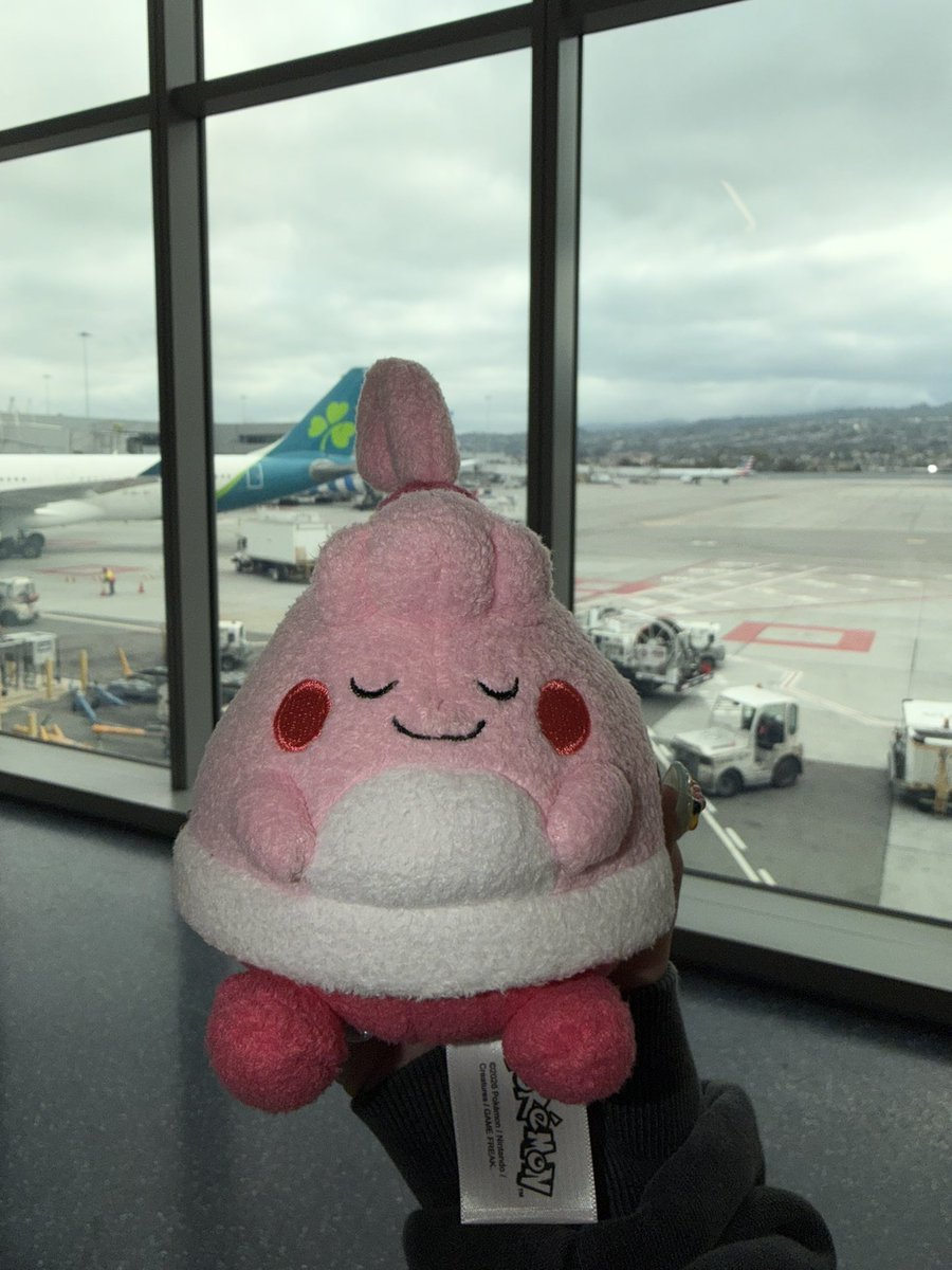 _rwocha__'s tweet photo. 空港で出会ったピンプクと共に日本へ❕
日本食が恋しくて暴れる前になんとか飛行機乗れた💧1週間が限界😣😣😣 https://t.co/AhQqIIHMYN