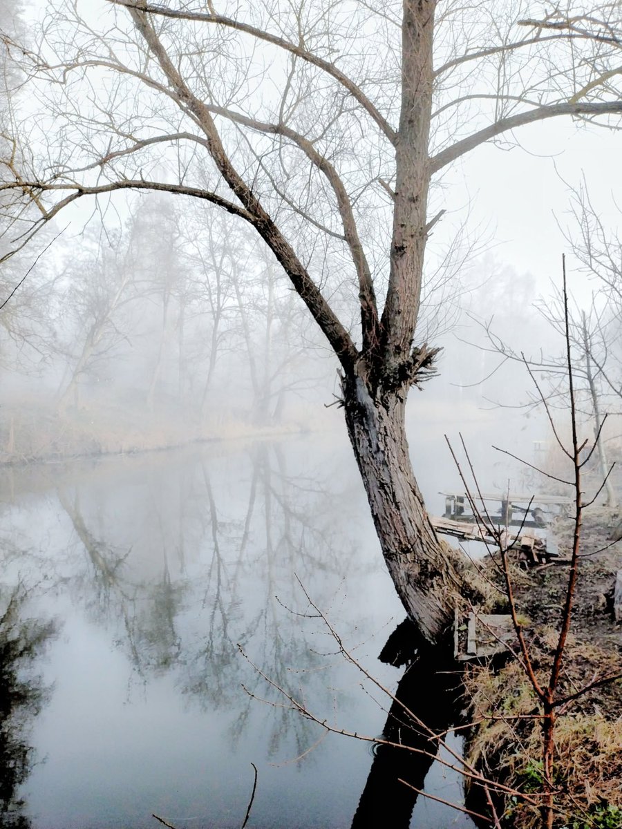 SuziMurayab6j's tweet photo. Silence has a texture if you reach out far enough. It feels heavy, yet oddly easy to carry for a while. 🌫️ https://t.co/VjGh0zs9wI