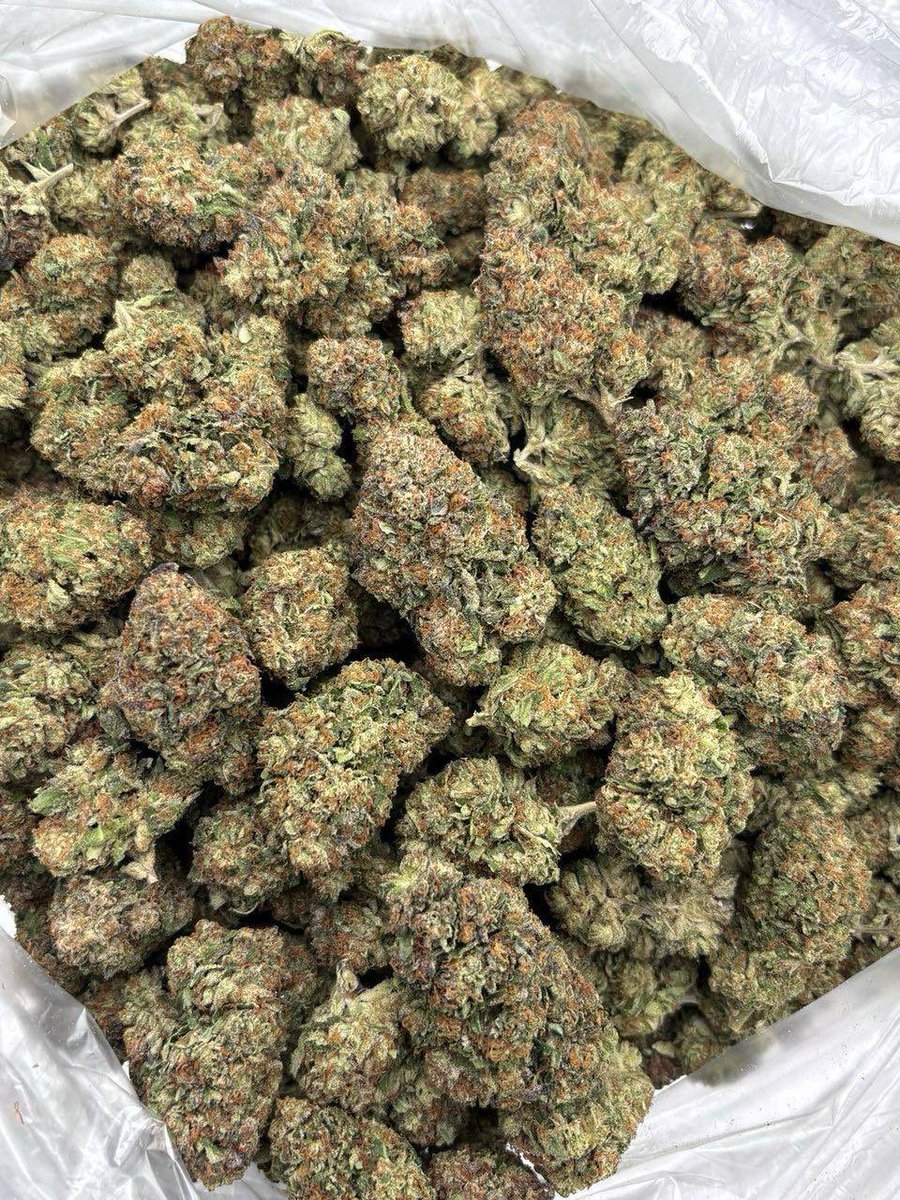 fuzzydessertz's tweet photo. Redruth weed Bodmin weed Weymouth weed Dorchester weed Poole weed Christchurch weed Salisbury weed Andover weed Basingstoke weed Farnborough weed Aldershot weed Eastleigh weed Winchester weed Fareham weed Gosport weed Havant weed Chichester weed Horsham weed Worthing weed https://t.co/hnEcrNuuLO