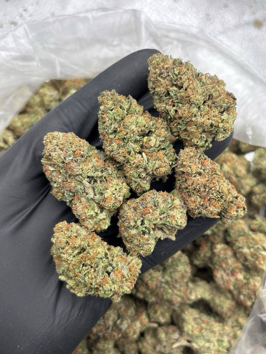 fuzzydessertz's tweet photo. Redruth weed Bodmin weed Weymouth weed Dorchester weed Poole weed Christchurch weed Salisbury weed Andover weed Basingstoke weed Farnborough weed Aldershot weed Eastleigh weed Winchester weed Fareham weed Gosport weed Havant weed Chichester weed Horsham weed Worthing weed https://t.co/hnEcrNuuLO