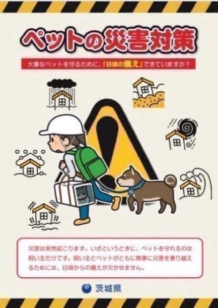 茨城県生活衛生課動物愛護担当《公式》 (@IBARAKI_Animal) on X