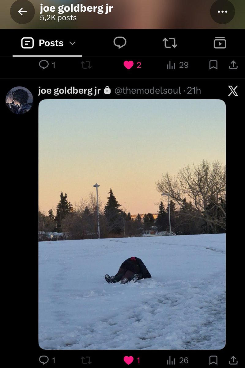 mandinhanott's tweet photo. quando ele tentou me derrubar na neve e os dois caíram https://t.co/PwpaZ925Ac