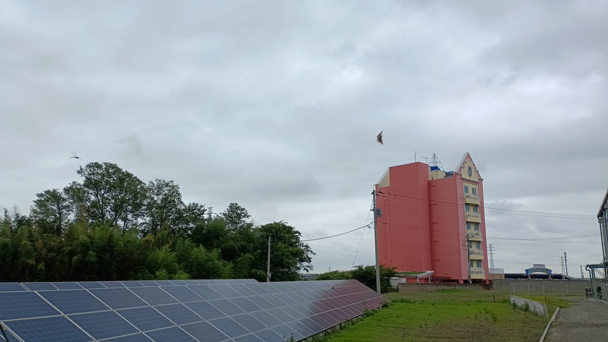 Techniques_Sus's tweet photo. おはようございます😃
本日の埼玉県本庄市の天気は曇り☁️
秋感じる涼しげな日🍂

今日から9月に突入デス✨

展示会の出展を控え
なんだかんだと多忙の日々💦

心のオアシスは
シルバーウィークの5連休ちゃん🥳

寒暖差に気を付けて
風邪を引かぬよう頑張るゾイ🙆‍♀️
＃企業公式が毎朝地元の天気を言い合う https://t.co/II61xuUkfU