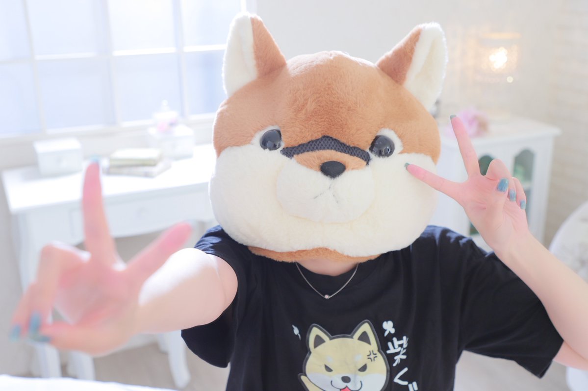 lala0u0's tweet photo. 9月もマイペースに🌱

弱気な自分を柴いてくぞー！！🐕ᯓᡣ𐭩 https://t.co/CS7SAtH5jk