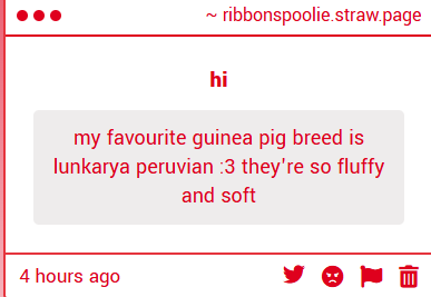 ribbonspool's tweet photo. this is a solid pick. 8/10, i love long hair piggies so much cause they look like waddling wigs. personal points off bc of maintenance cs i had an older pig who i had to cut his back fur off so he could pee lmao. sweet little things, thank you anon 😇😇 https://t.co/gS1erlzXrb