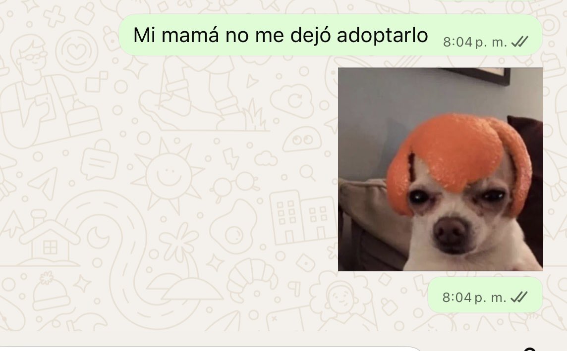 Ordosgoitiavm's tweet photo. Yo con cada publicación de perritos 🙂 https://t.co/zFaBDruktz