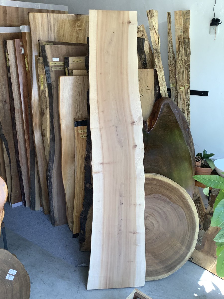 storage_base's tweet photo. 本日入荷のシュリサクラです♪
大きめサイズでベンチにもカウンターにも◎
優しい色合いで癒される一枚です☺️ https://t.co/G6qJX6ibcW