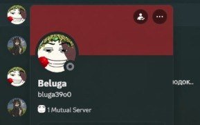 FuckDaPigB0ss2's tweet photo. @h8kast @sirvko Is that you btw😅 https://t.co/dLWTxK0bXE