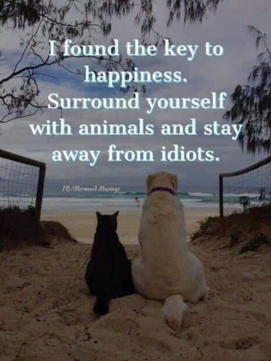 BestinDogs's tweet photo. https://t.co/U5YTpOfBMv