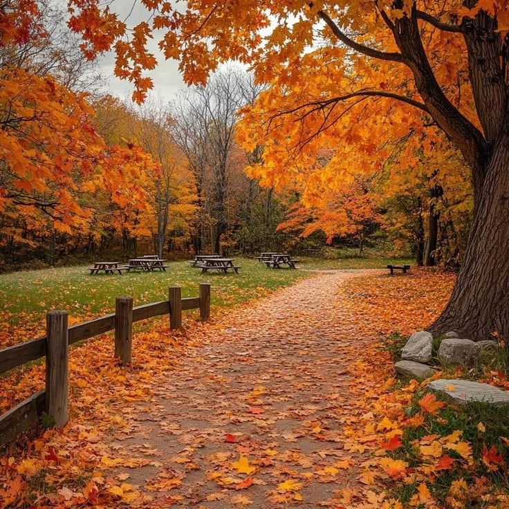 bvtterfliese's tweet photo. It's already September today 🍁 https://t.co/1RNNhfAEXn