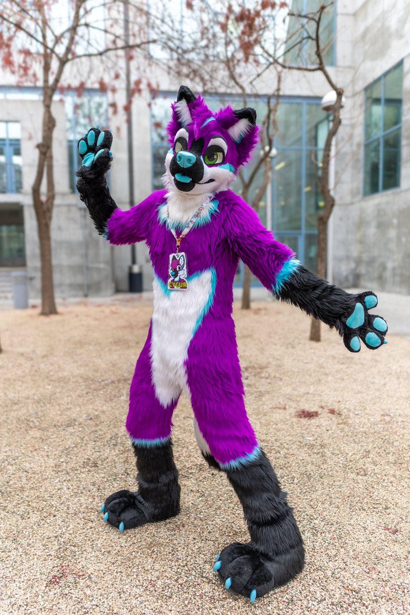 CycurCanine's tweet photo. 📸 @Aussywoo https://t.co/j7e0vTUavF