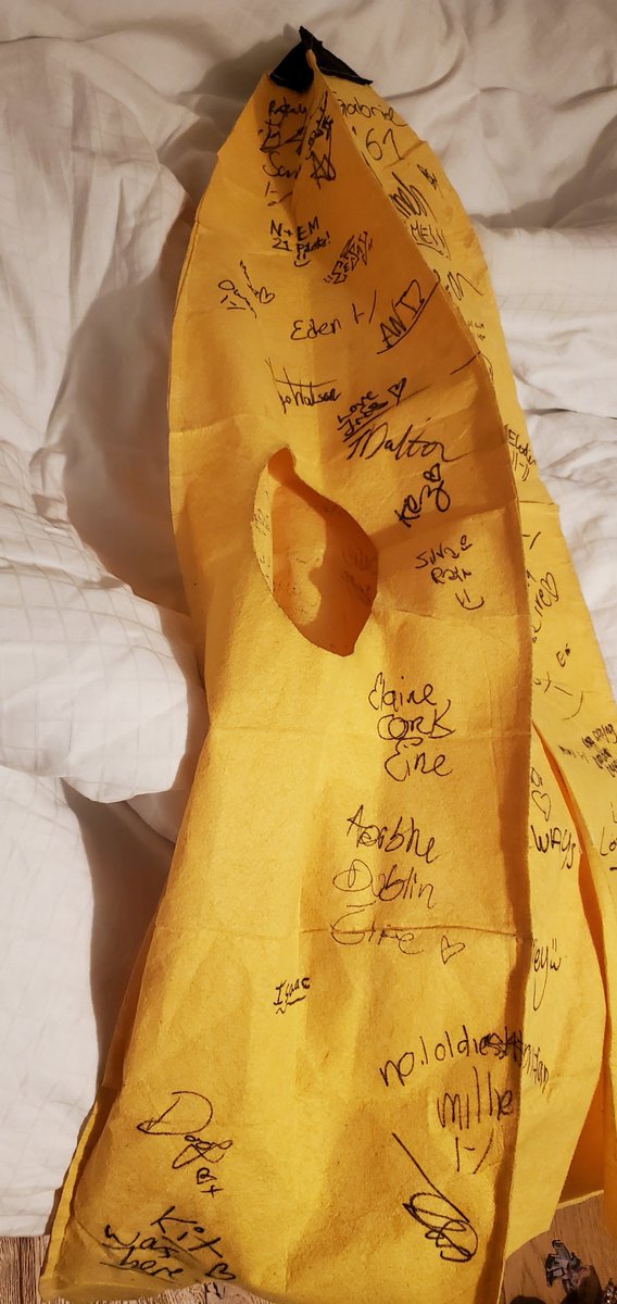 anydeadpilots's tweet photo. Thank you guys for signing this beautiful costume. |-/ https://t.co/fgaPm1FId5