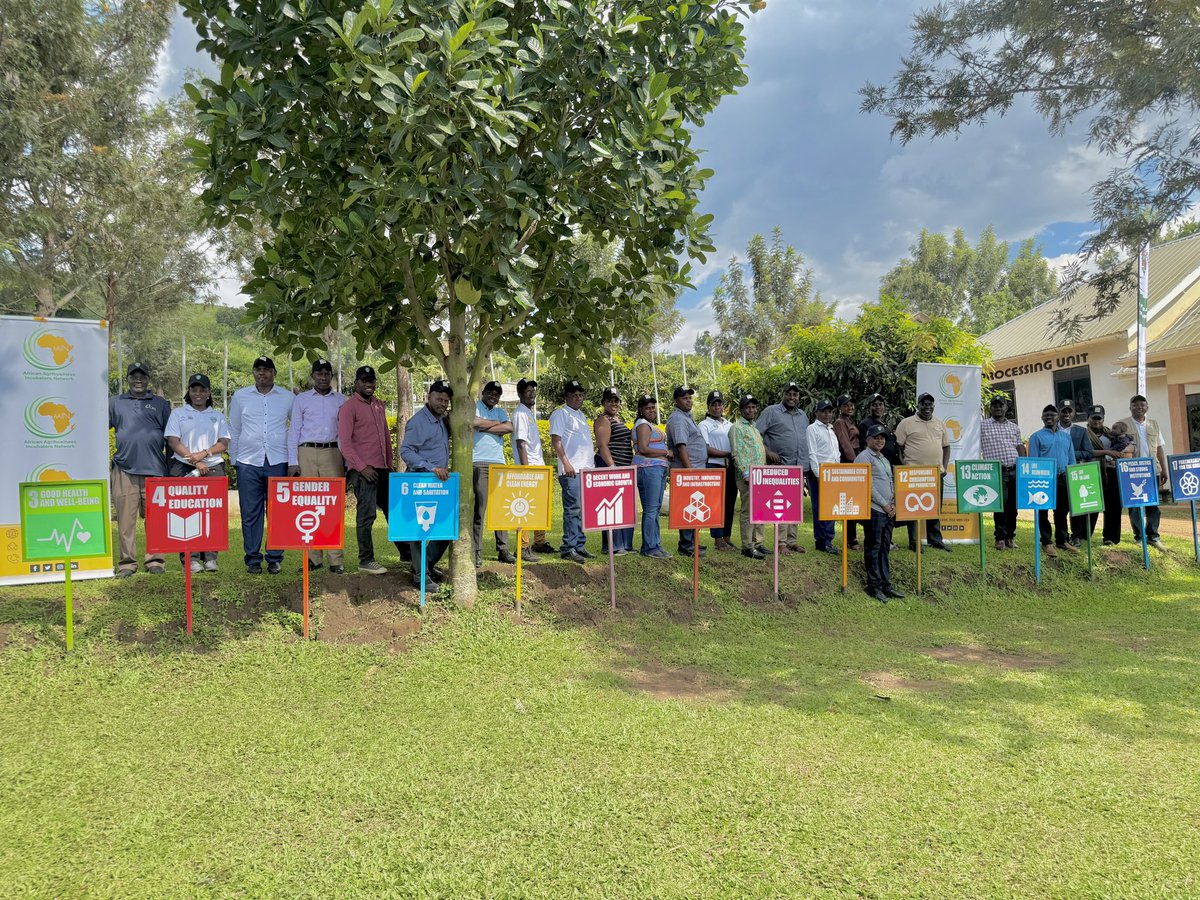 AAIN4Africa's tweet photo. Millions depend on agriculture for their livelihoods.

So why can someone spend a lifetime producing food and remain poor?

That is the food-systems question we must confront.

At #FSIS2026, we are pushing the conversation from production to prosperity.

#NoPoverty #FoodSystems https://t.co/O2FFQes8p4