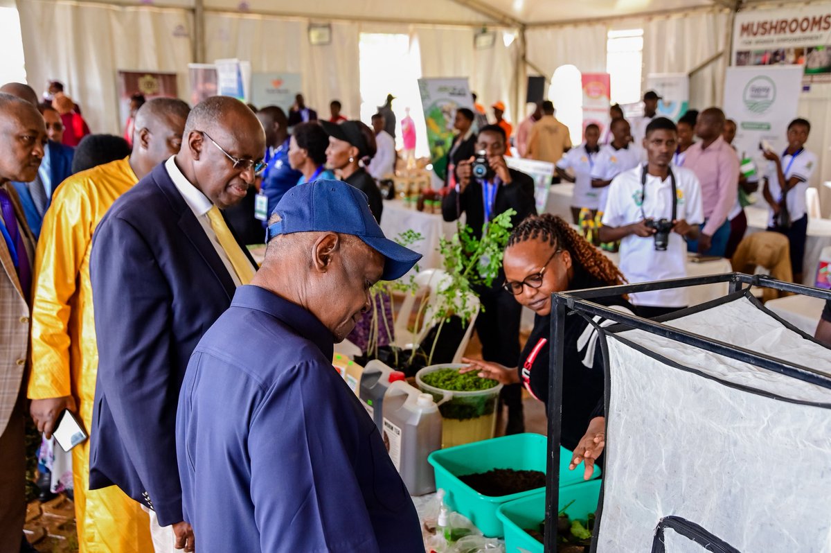 AAIN4Africa's tweet photo. Millions depend on agriculture for their livelihoods.

So why can someone spend a lifetime producing food and remain poor?

That is the food-systems question we must confront.

At #FSIS2026, we are pushing the conversation from production to prosperity.

#NoPoverty #FoodSystems https://t.co/O2FFQes8p4