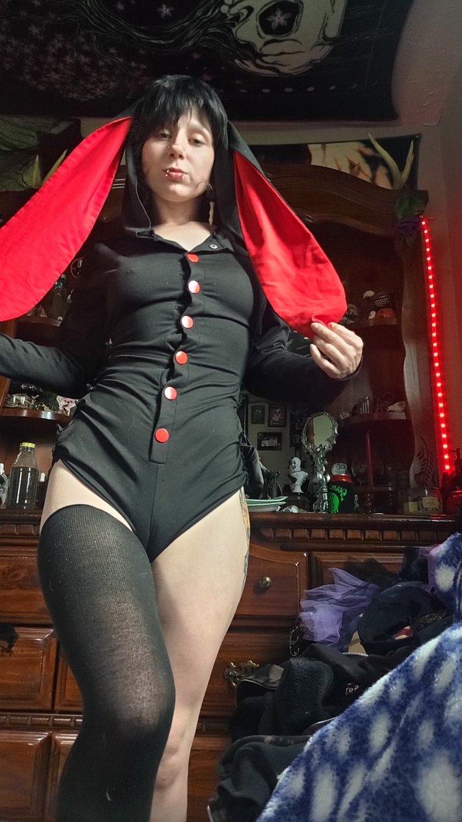 Thegothclown13's tweet photo. Dumb bunny https://t.co/1luoZh9X7J