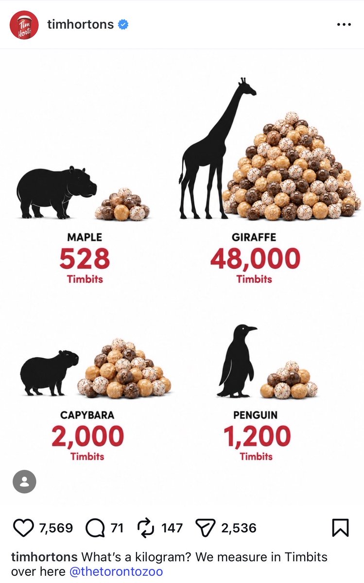 Skullzc5's tweet photo. @Pumpfun How about Canadas Pygmy hippo they’re gonna go full out on it 
KFC and Tim hortons already interacted before public view 
$MAPLE @TzTinyTankSol 
Baby Pygmy hippo

Bf7t5LWtuy7k8LKTQczmcJ3umtiWEq4y2U7zFkiHpump

https://t.co/sDdeFgjSpj https://t.co/5s6u1VRPhg