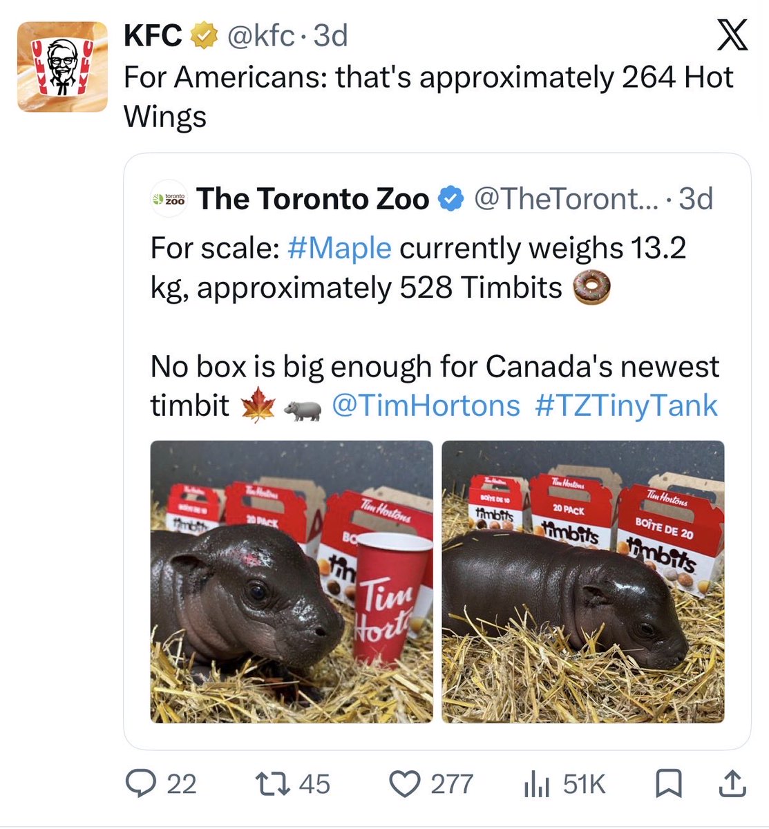 Skullzc5's tweet photo. @PoorGoat_ How about Canadas Pygmy hippo they’re gonna go full out on it 
KFC and Tim hortons already interacted before public view 
$MAPLE @TzTinyTankSol 
Baby Pygmy hippo

Bf7t5LWtuy7k8LKTQczmcJ3umtiWEq4y2U7zFkiHpump

https://t.co/sDdeFgjSpj https://t.co/pXDEQ7YXbk