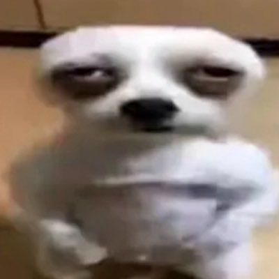 moreeb13's tweet photo. #NuevaFotoDePerfil https://t.co/dntdFs4cRn