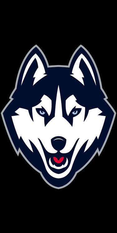 bam2litt's tweet photo. After a great conversation with Coach @aj_harrisonjr i’m blessed to receive my 11th division 1 offer from University of Connecticut
#AGTG✝️🙏🏾 https://t.co/TipxD4JUYo