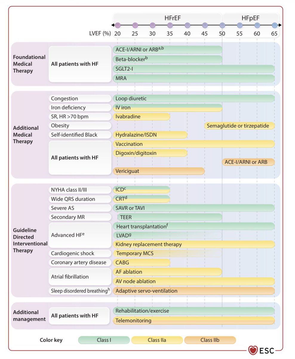 GiuseppeGalati_'s tweet photo. 🔥 📝 2026 ESC Guidelines for the management of heart failure: 
Developed by the task force for the management of #HF of @escardio (ESC)

With the special contribution of the #HFA 
Endorsed by the @EACTS 

https://t.co/UERosIqhrG

☀️ Only #HFrEF & #HFpEF (No more #HFmrEF after 10 years of its definition)

✅ Better description of synergy between drugs and interventional procedures 

🍀 Better characterization of #AvancedHF & indication of #LVAD & #HeartTransplantation

🖊️ Change of terminology “foundational therapy” ( no more GDMT), “Decompensated” (No more acute)

🫀 @HFUAcademy  🍀

https://t.co/0dFvFm9NeT 

@EJHFEiC @HFA_President @gpontone1 @chiarabd @MicheleEmdin 
@AmrAbdin10 @KTamirisaMD  @DrRajivsankar @JBauersachsMD  @robmentz @TomLuscher @AndrewJSauer 
@DrMarthaGulati @FedericaFogacci @afgcicero @glimongelli @IacopoOlivotto @HanCardiomd @GMCRosano @SeguraCardio @ShelleyZieroth @chiarabd @iamritu @cristinagavina @FeliceGragnano @rahatheart1 @gpontone1 @stefanocarugo @AnastasiaSMihai @radcliffeCARDIO @GCFmeeting