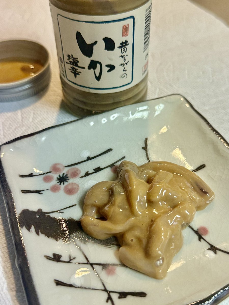 wblnuma's tweet photo. 食らう🍚🤩❗️ https://t.co/IkRmJ26hD7