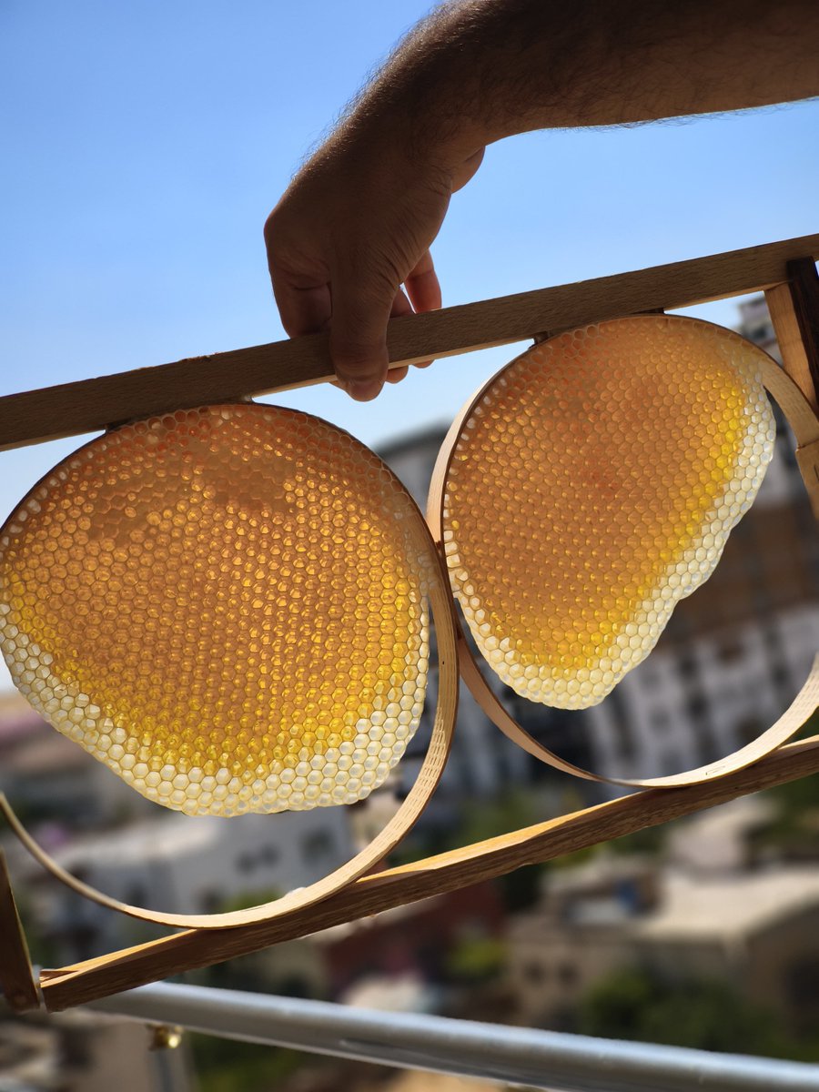 Adalet_751's tweet photo. Altın sarısı yayla balımız 🐝🍯 #altıüstüistanbul #arıcılık #bal #organik #doğal https://t.co/BvDA6AJgfS