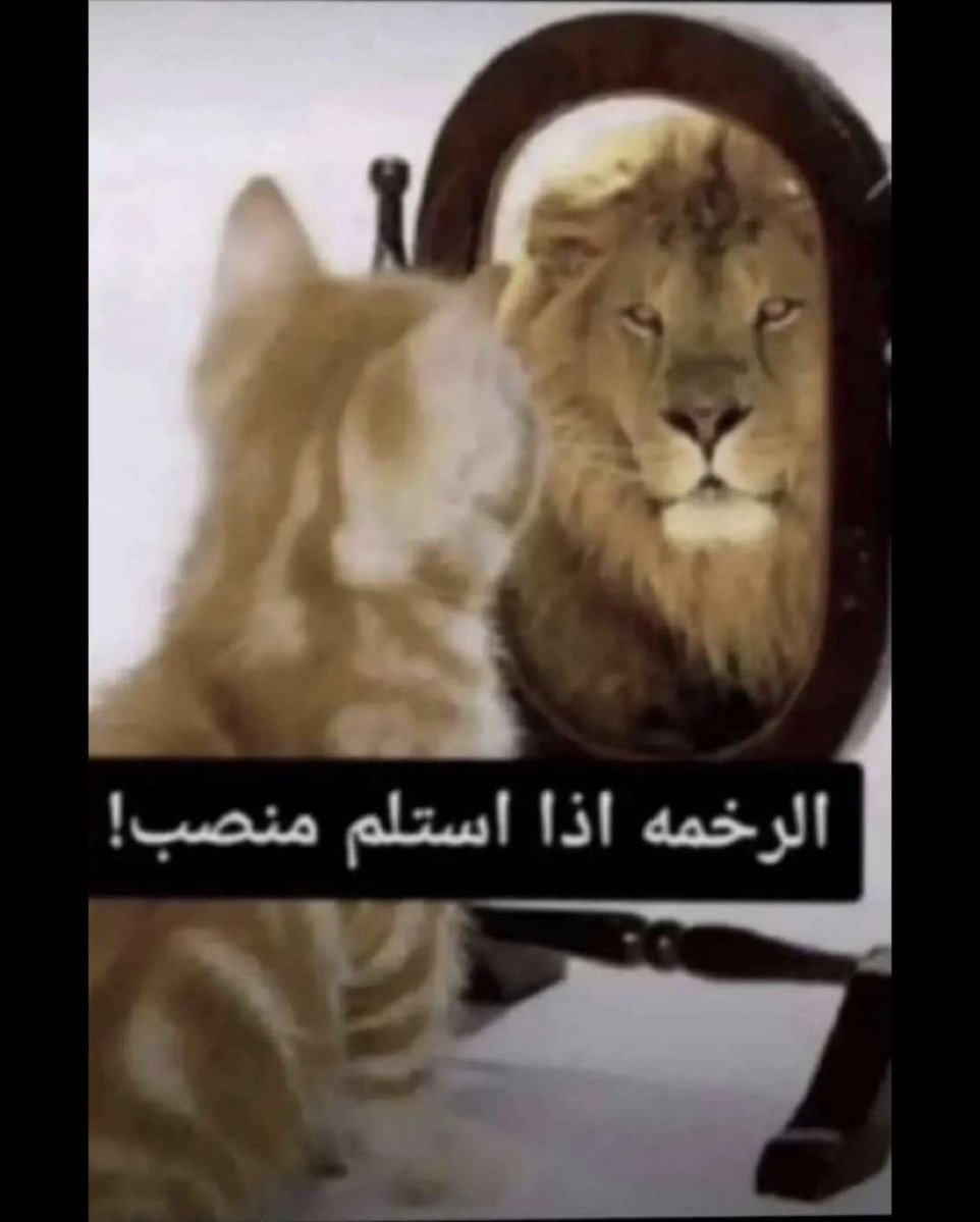 toq__8's tweet photo. كوندي القائد https://t.co/fRNIe15vr5
