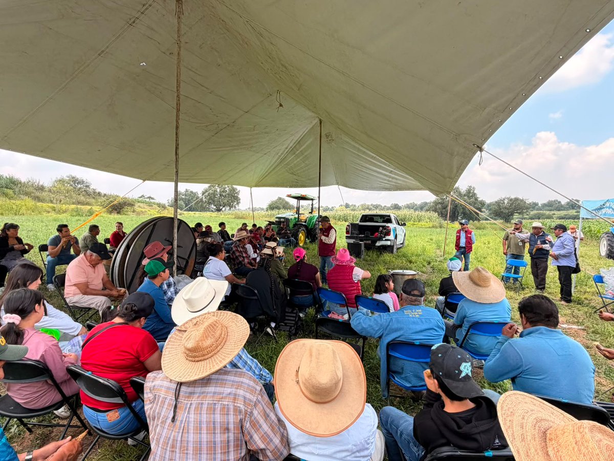 CampoEdomex's tweet photo. En Tlapanaloya, #Tequixquiac, realizamos un taller sobre el manejo y control de plagas en el cultivo de maíz, donde productoras y productores aprendieron a identificar problemas y a preparar una trampa agroecológica para el control de gusanos plaga.

#ElPoderDeServir #SomosCampo https://t.co/wTAndJETPT