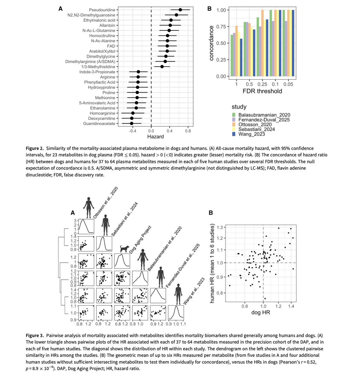 morellifit's tweet photo. Dogs may be the best way we have to understand human aging.

Researchers analyzed thousands of metabolites in dogs' blood and looked for patterns to whether they died earlier or lived longer.

Then they compared this with 5 large human mortality studies.

And guess what?

Many of the metabolic signals associated with longer/shorter lifespan in dogs looks similar to the ones they've seen in humans.

These metabolites can reflect things like metabolism, inflammation, how cells are responding to stress, etc.

Dogs also give researchers speed.

They live in the same homes we do and share our environment along with age-related diseases we get.

So instead of waiting for 70+ years to study an entire human lifespan, we can test ideas about aging in dogs who live around 12-13 years, and potentially extend their lifespan and healthspan.

This is what we're doing with ChooChoo who is right now the most measured dog on the planet.

We’re measuring:

- Gut microbiome
- Food intolerances
- Glyphosate exposure
- Heavy metals + minerals
- Mycotoxins
- Vitamin D
- Full in-home integrative assessment
- Personalized recommendations
- 40-minute results review

And this is only the beginning.

We wanna understand every measurable input into his health, track how it changes over time, and use that data to maximize both lifespan and healthspan.

This way, we can allow other dogs and their owners to do the same.

And the more we learn about extending healthy lifespan in dogs, the more we can learn about doing the same in humans.