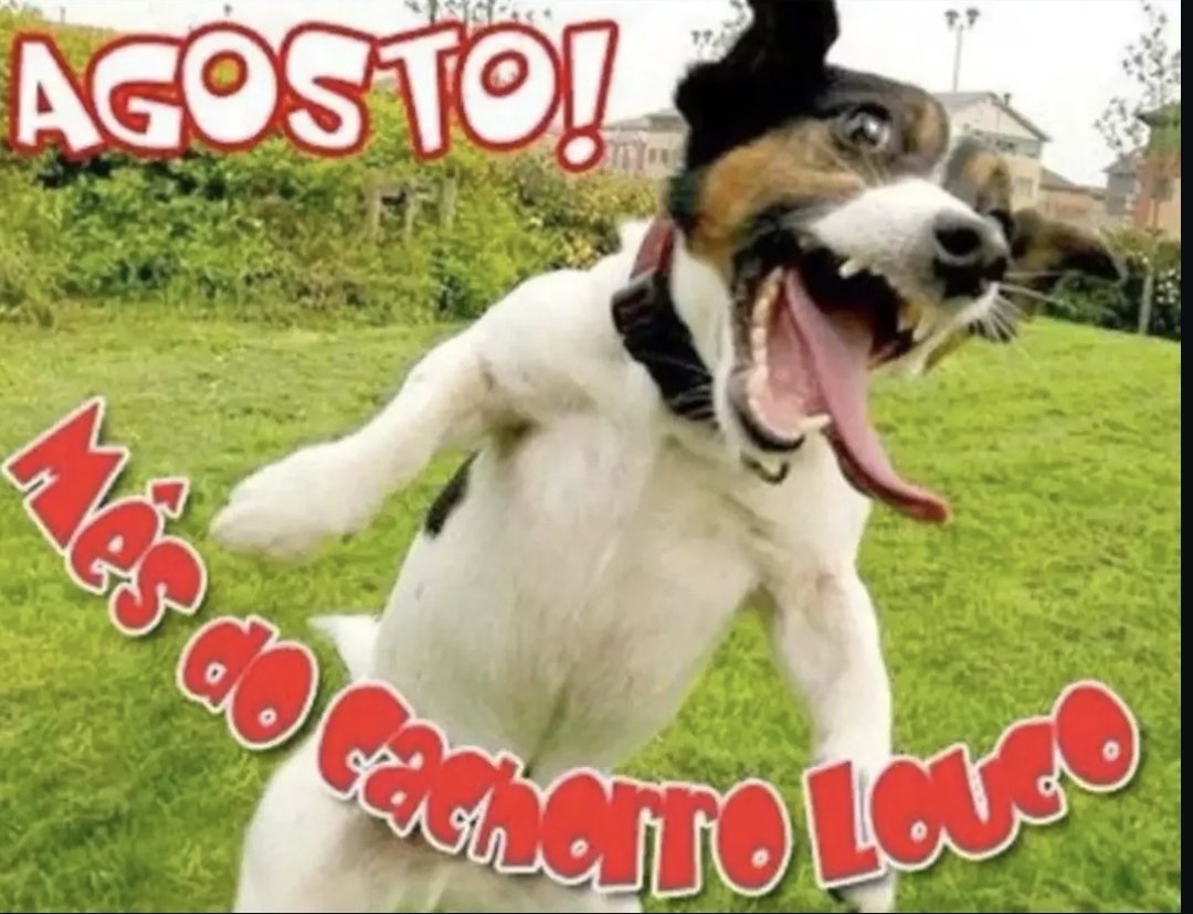 CultWolverine's tweet photo. Adeus cachorro louco https://t.co/aecYmov1Sl