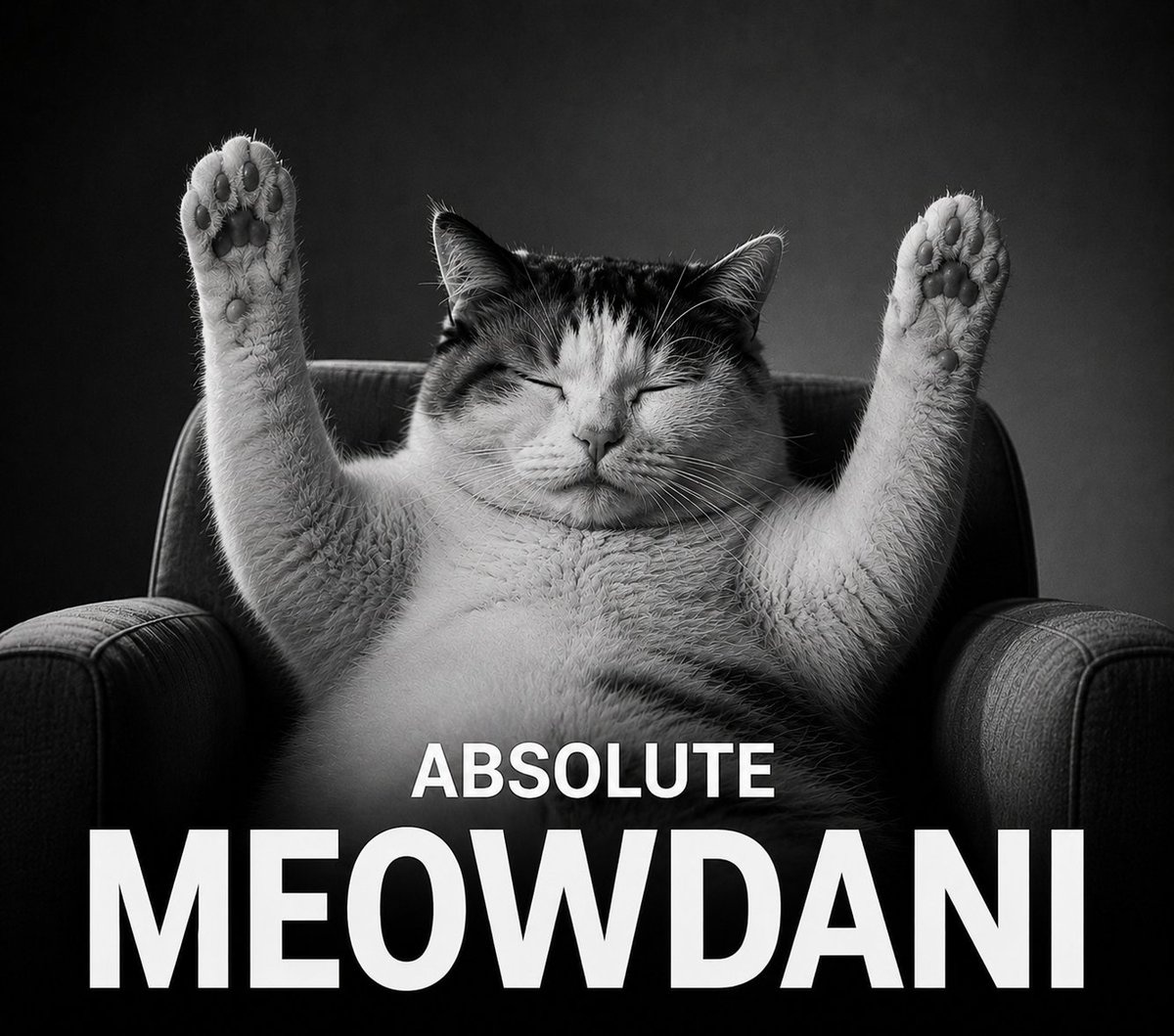 MeowdaniRH's tweet photo. official Reddit cat 🐈

https://t.co/kAOnBh8hQp https://t.co/vUTNQIUDqi