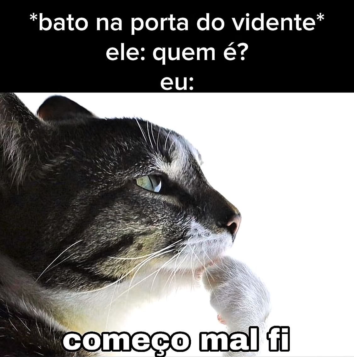 shitpostverdade's tweet photo. https://t.co/Z1U28VSryt