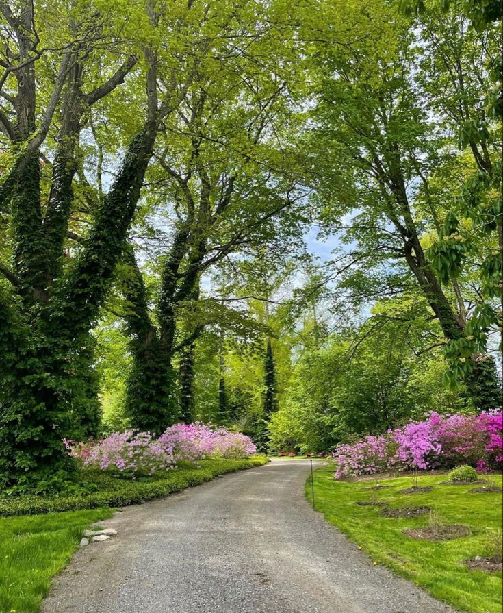 greenvibe's tweet photo. Some roads don’t lead anywhere urgent. That’s why I like them. https://t.co/MHBdkzjmgu