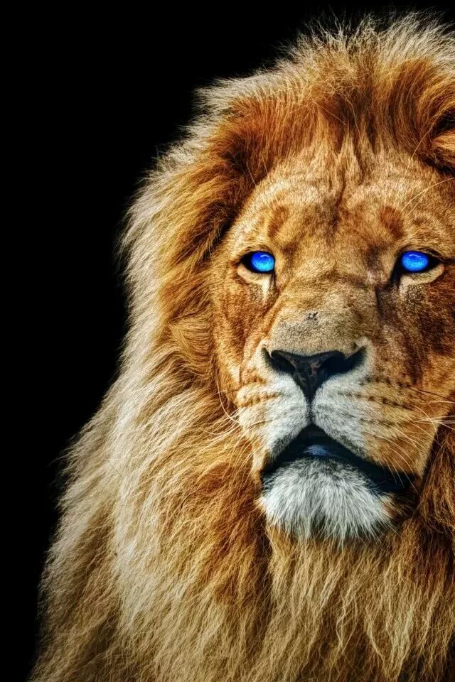 marsha67358's tweet photo. LESS TALKING, MORE MOMENTUM. 🚀 #focus #goals #success #GM https://t.co/NlLmhVwOy7