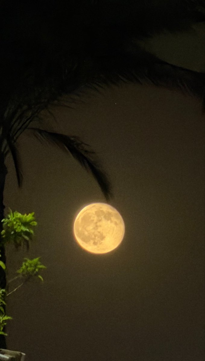 ohyeahyaa's tweet photo. Oh look, it’s the moon https://t.co/dMuDvCqA1g