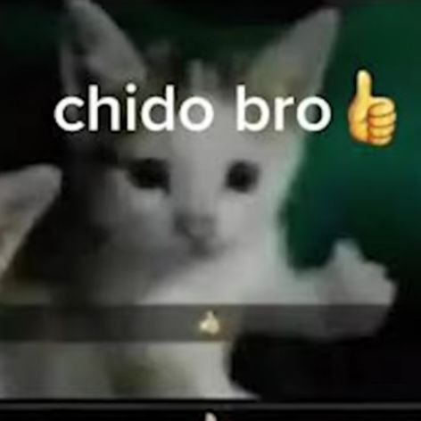 Box_And_Maow's tweet photo. @Starfall_VT @daitmon esta chido https://t.co/0G7zrvEFbZ