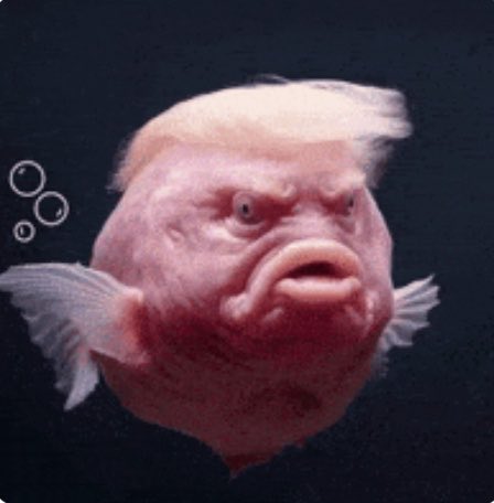 NorthRoastsMAGA's tweet photo. @MapQuest My point proven💀😂 just anger and people afraid of the gay boogie man😂🤡not surprised when this is your leader😂cant help stupid lol https://t.co/ugWOqsc7Jr